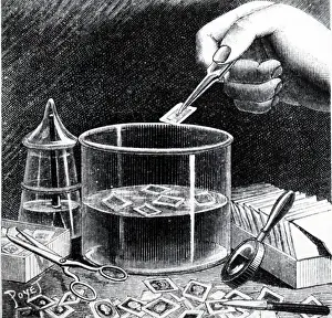 Envelopes: Stamp collector soaking used stamps from their envelopes