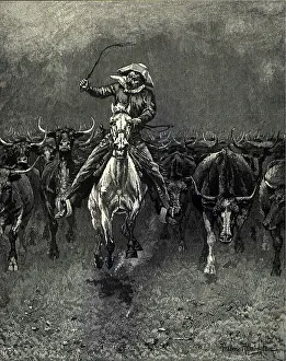 Stampede: In a Stampede