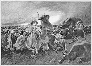 Panicking: A STAMPEDED HERD
