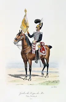 Histoire: Standard Bearer of the King's guard with the regimental
