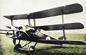 Seater: Standard production Sopwith triplane, WW1