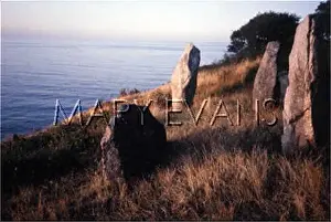 Bornholm: STANDING STONE/BORNHOLM