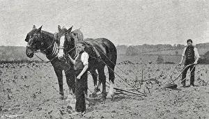 Plough: Standon Boys Farm Home, Eccleshall, Staffordshire - Ploughi
