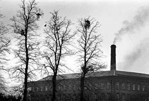 Nests: Stanley Mill, Gloucstershire