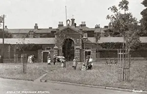 Blackberry: Stapleton Workhouse, Bristol