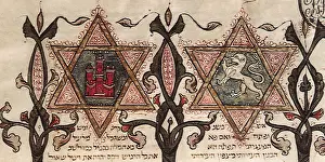 Davids: Star of David