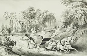 C1849: The star of the road