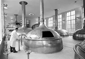 Mevald: Staropramen - beer brewery