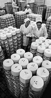 Cheese: Starorussky Cheese Factory