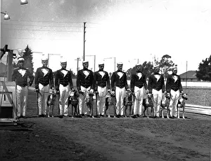 Starters: Starters Lineup For Dog Racing