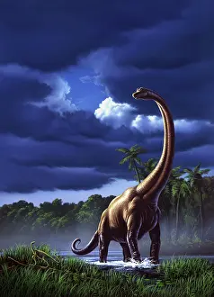 Macronaria: A startled Brachiosaurus splashes through a swamp against a