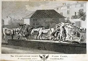 Starved: STARVATION FARMYARD