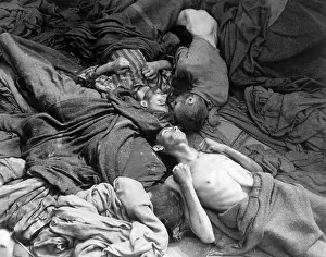 Overrun: Starved bodies of prisoners in a freight car at