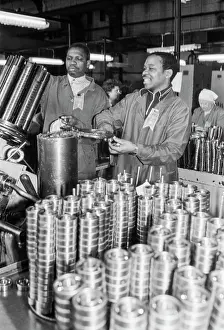 Mozambique: State bearing plant