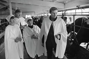 Dairy: State farm in Altay region