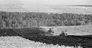 Engaged: State owned farm Sibir, 1977
