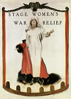 Flagg: State Women's War Relief