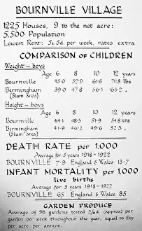 Statistics: Statistics, Bournville village