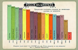 Percentage: Statistics on children in primary school