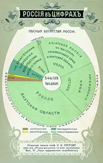 Explored: Statistics on forest areas in Russia