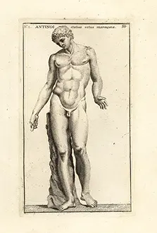 Antinous: Statue of Antinous, Emperor Hadrian's lover