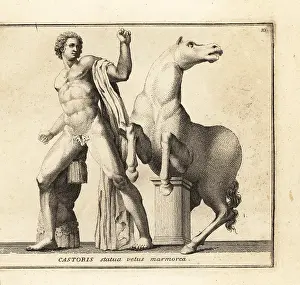 Dioscuri: Statue of Castor, one of the Dioscuri, with horse