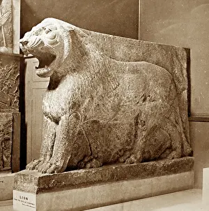Nimroud: Statue of lion, Nimroud, British Museum