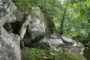 Ligorio: Statue of Neptune, Garden of Bomarzo, Bomarzo, Lazio, Italy