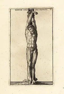 Marsyas: Statue of the satyr Marsyas tied to a tree and flayed alive