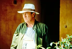 Stealing: Stealing Beauty