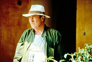 Stealing: Stealing Beauty
