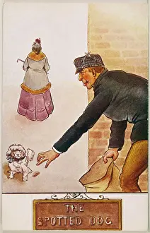 Unaware: STEALING A DOG
