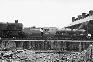 Elms: Two steam engines outside Nine Elms New Shed