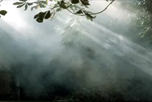 Mysterious: Steam and mist, Surrey