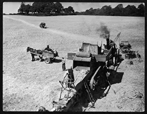 Thresher: STEAM THRESHER 1930S
