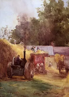 Threshing: Steam Threshing