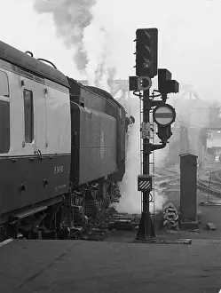 Alan Greeley Collection: STEAM TRAIN