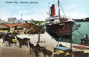 Bermudian: Steamer Day, Hamilton, Bermuda