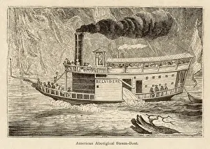 Belvidere: STEAMSHIP BELVIDERE