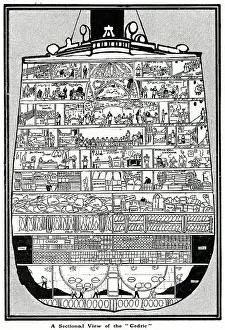 Steamship Cedric in cross-section to show contents
