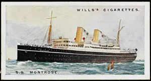 Montrose: Steamship Montrose
