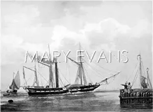 Curacao: STEAMSHIPS/CURACAO