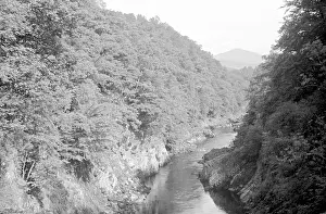 Gully: Steep-sided wooded gully with beck