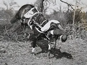 Wokingham: Steeplechase in Ashbridge Wood