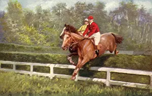 Steeplechase: Steeplechase Jump