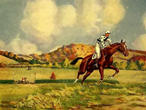 Obstacles: Steeplechase Jump