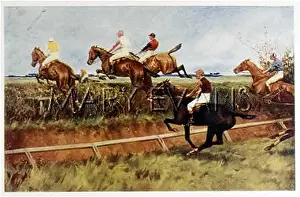 Steeplechasing: STEEPLECHASE OPEN DITCH