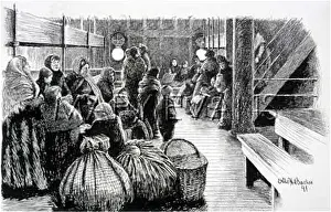 Steerage: STEERAGE PASSENGERS/1891
