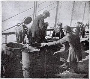 Emigrating: Steerage passengers on an emigrant ship