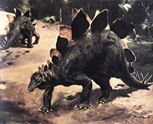 Saurian: Stegosaurus